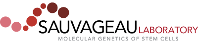 sauvageau-lab-logo-f_87 Sauvageau Lab